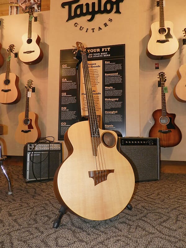 Taylor AB1 Acoustic Bass Fretless Reverb