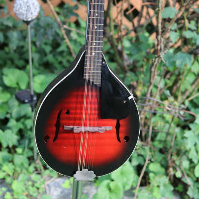 Harmony Monterrey mandolin - Sunburst image 2