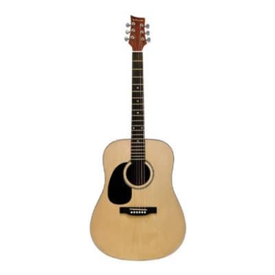 Beaver Creek 101 Series Acoustic Guitar Natural Left Handed w/Bag BCTD101L for sale