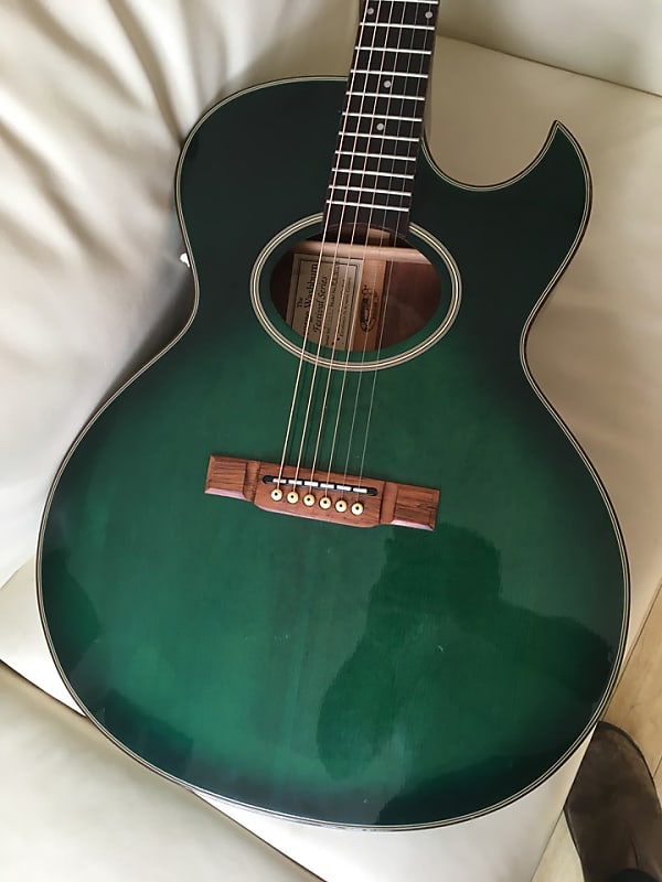 Washburn EA30 Festival electro acoustic 1990 & case | Reverb