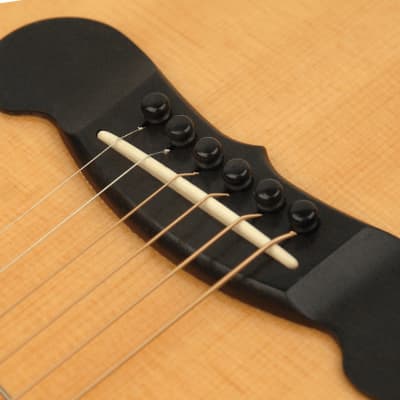 D'Addario Planet Waves Black Plastic Bridge & End Pins For Acoustic Guitar - Black image 2