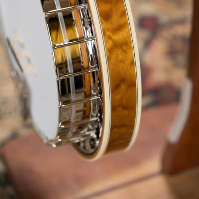 Deering Tony Trischka Silver Clipper Resonator Banjo w/Spikes Installed at 7, 8, 9, and 10 #0100 image 9
