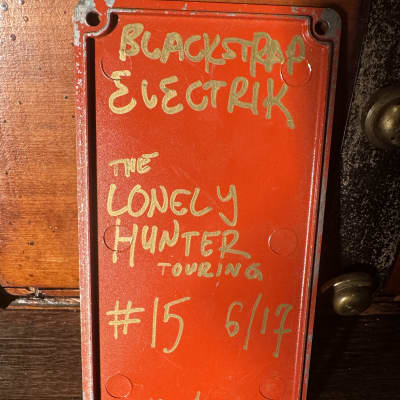 Blackstrap Electrik Co. The Lonely Hunter image 3