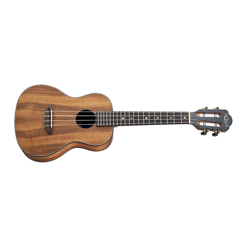 Anuenue AQUA-CK2 Classic Koa II Concert Ukulele