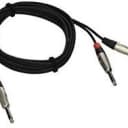 Hosa HPP-010X2 Dual REAN 1/4 in TS to Same, Pro Stereo Cable, 10'