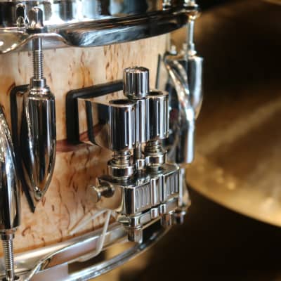 Sonor 13x 5.75" Benny Greb Signature Beech Snare Drum with Teardrop Lugs and Bubinga Inlay image 6