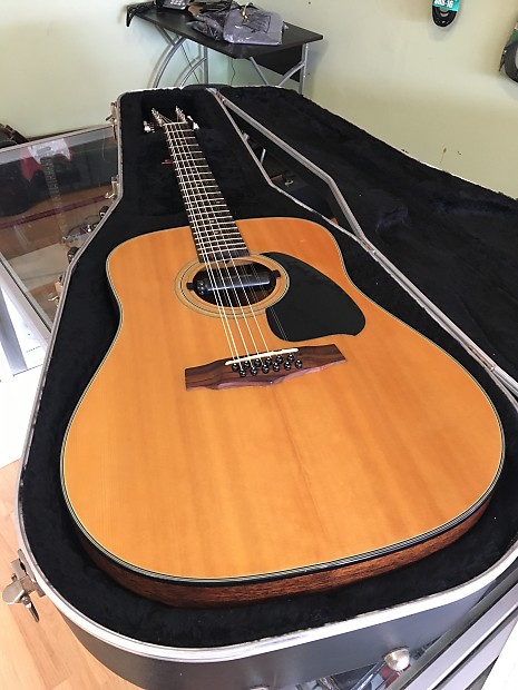 Ibanez Performance 12 String Guitar with Hard Shell Case and Pickup