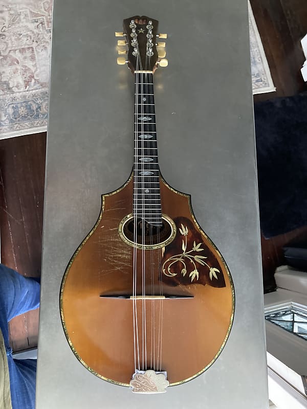 Vega Mandolin *Circa 1920 Reverb