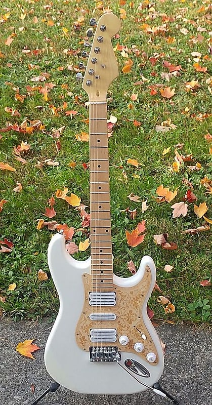 Custom built Strat | Reverb