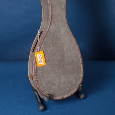 Kay 395 Electric Mandolin 1960s / Anyone for Venice? image 23
