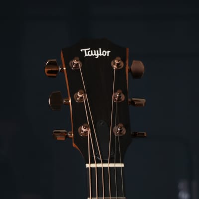 Taylor 214ce-SB-DLX Sunburst Deluxe Grand Auditorium Acoustic Electric Guitar image 13