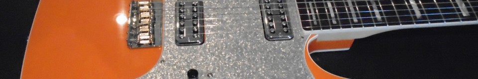 Sarasota Guitar 
