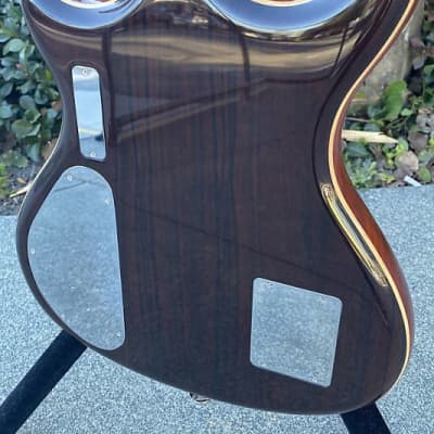 Alembic Custom Guitar (Pre-Owned) w/bag image 7