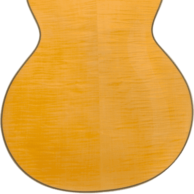D'Angelico EXCEL DH Archtop Natural Gloss image 2