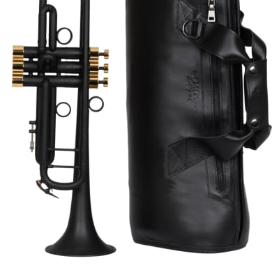 Bach Stradivarius 37 trumpet Customized by KGUbrass image 24