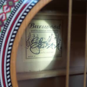Burswood esteban acoustic guitar on sale