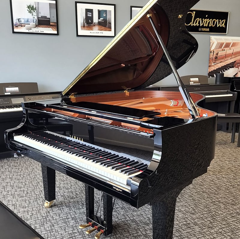 Used yamaha c3x for sale 2025