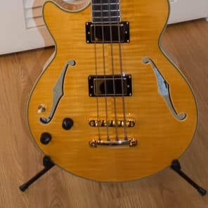 Left-handed D'Angelico EX-SS/bass image 2
