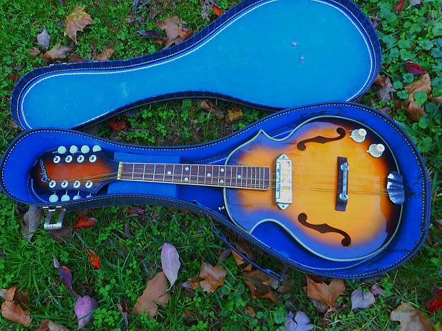 8 string electric mandolin cheap