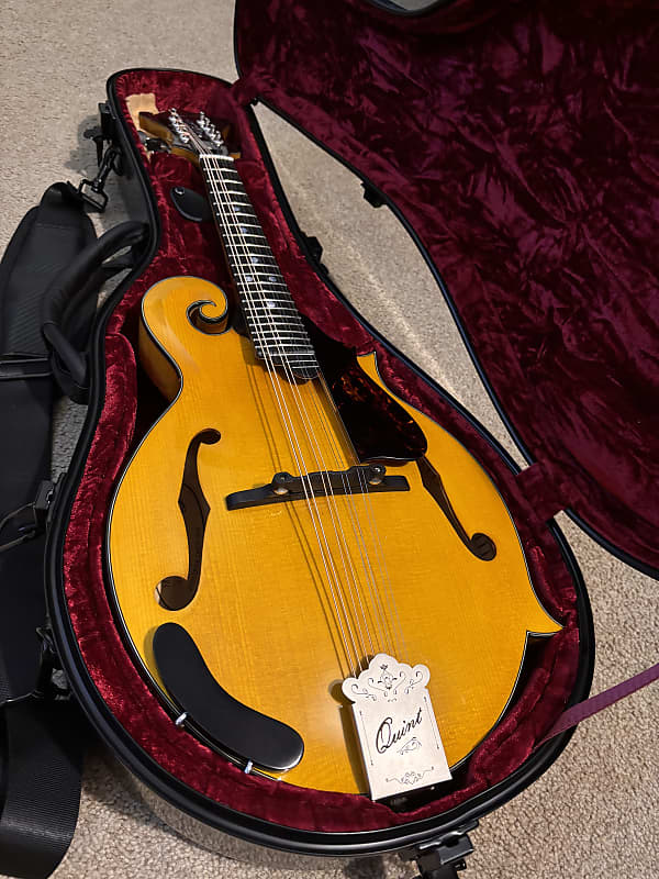 Quint QT-F5 YN image 1