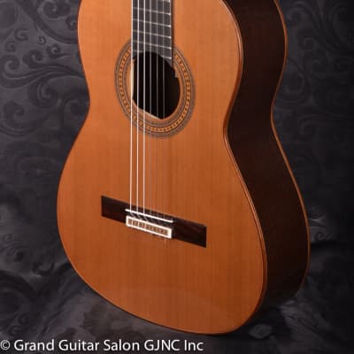 Daniel Stark "Espagnola II" classical guitar  Cedar/Wenge B & Sides image 8