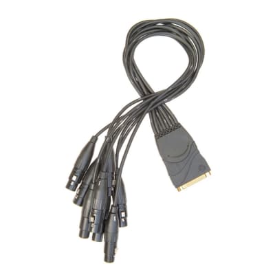 Planet Waves PW-XLRMB-01 8-Channel Modular Snake XLR Male Breakout Cable