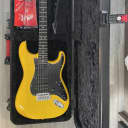 Fender Player Stratocaster HSS Limited Edition