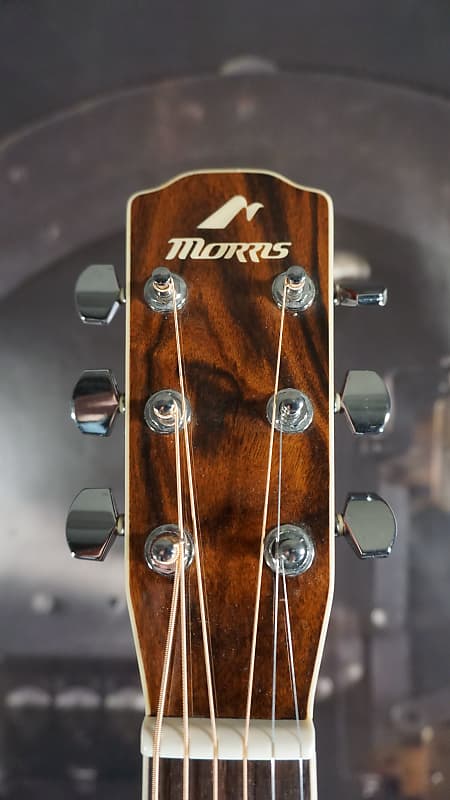 ギター Morris MF603 Morris モーリス MF-603 アコーステックギター アコギ 楽器