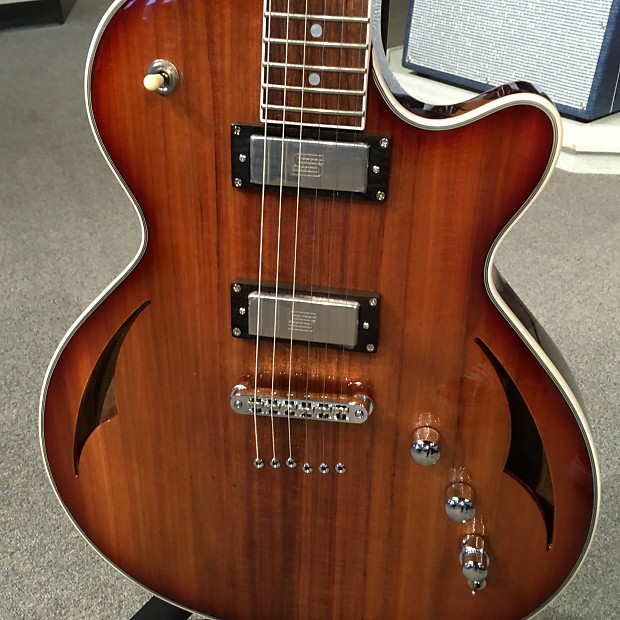 Parkwood shop hybrid guitar