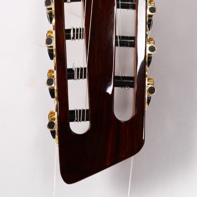 Agile Left Handed 7 String Multiscale Fan Fret Classical Acoustic Guitar Renaissance Classical 72527 EQ  CUT NA  LH image 4