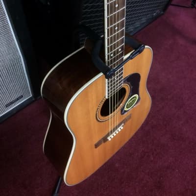 Washburn D10SRNAT Acoustic Guitar USED Gloss Natural FREE Ship! [ProfRev] image 2