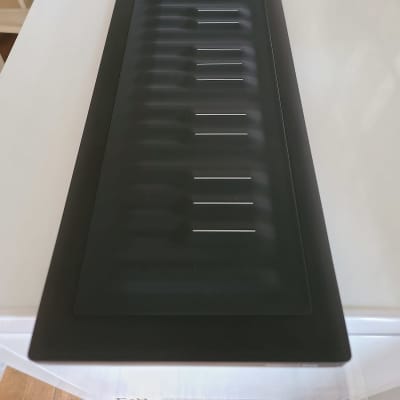 Roli Seaboard Rise 2 | Reverb