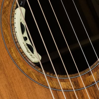 2019 NOS Breedlove Masterclass Custom Concertina E Acou-Elect Guitar, Redwood - Figured Walnut image 10