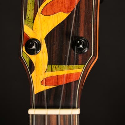 Oli L2 CSR Spruce/Rosewood 2025 - Natural Highgloss image 2