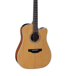 Takamine GD20CE Acoustic Guitar (GD20CE) image 1