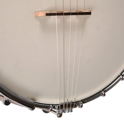 Gold Tone Model WL-250 White Ladye 5-String Open Back Banjo with Hard Case image 9