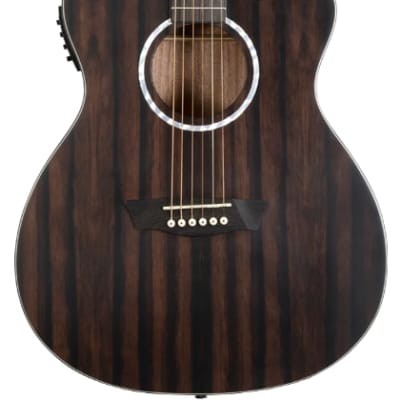 Washburn DFEACE-U Deep Forest Ebony ACE Acoustic-Electric Guitar, Natural Matte for sale