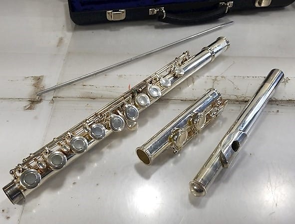 Alpine フルート Alpine flute, USA | Reverb