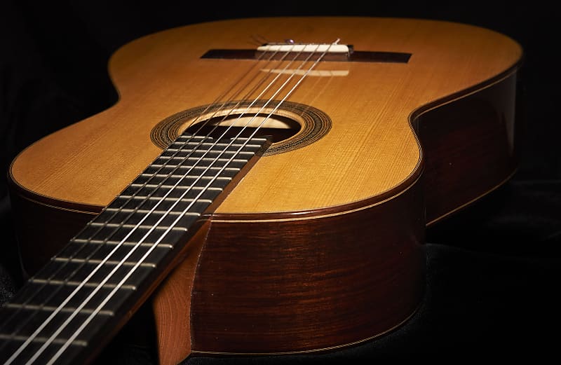 Bertrand Ligier Classical Guitar w VIDEO | Reverb