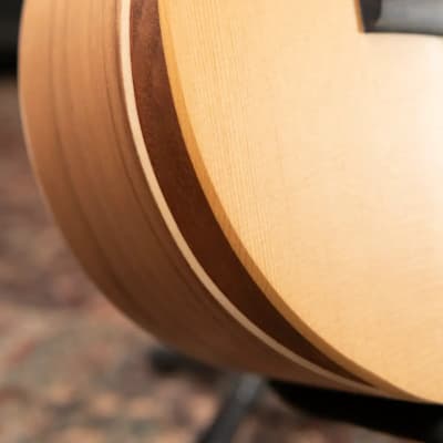 Taylor Academy 12e-N Nylon Grand Concert Acoustic/Electric Guitar with Gig Bag image 13
