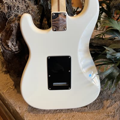 Fender Stratocaster Partscaster Build w/ Hard Shell Case image 13