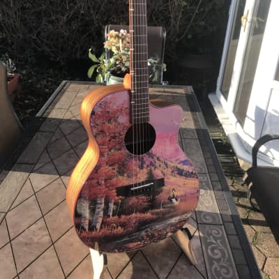 Wildboar Acoustic guitar for sale