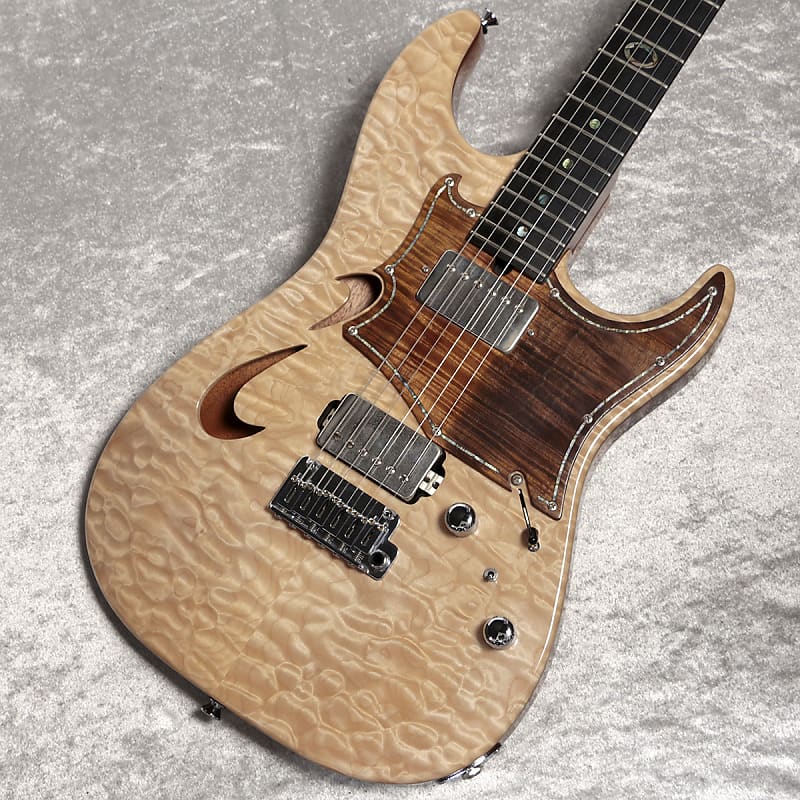 ギター T's Guitars DST-22 T'S Guitars Dst-22 Electric Guitar | eBay