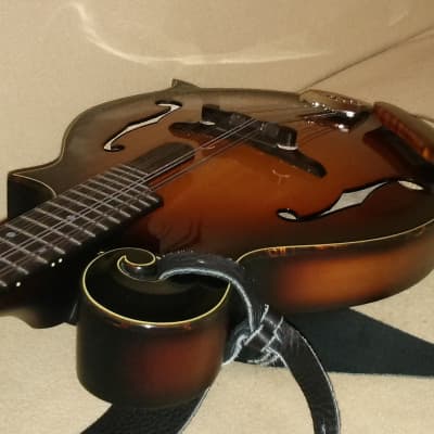 Furch MF 22SF mandolin with K&K pickup and hard shell case image 2