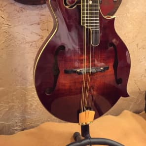Gorgeous Eastman All Solid Woods 815 F Style Mandolin 2013 Natural image 6