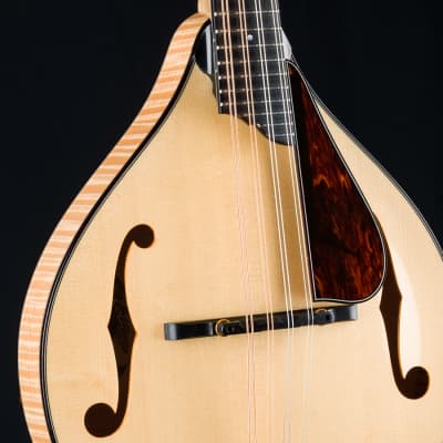 Collings MT2 Blonde Italian Spruce and Flamed Maple Mandolin with Pickguard NEW image 7