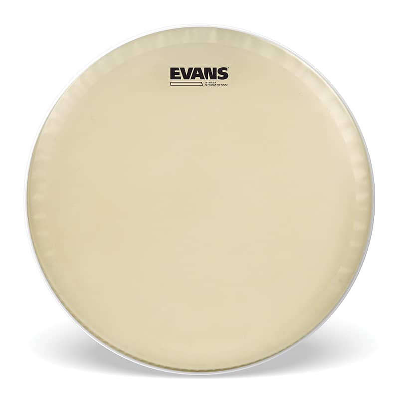 Evans Strata Staccato 1000 Concert Snare Drum Head, 14 Inch image 1