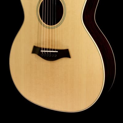 Taylor Willcutt Acoustic Suites Special Edition GAce Cocobolo (141) image 2