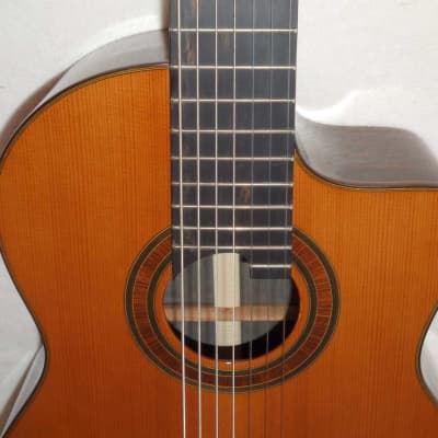 BLACK FRIDAY SALE Bartolex SRC7CEL Classical 7-String Harp Guitar w/Cutaway, Fishman Presys Pickup! image 11