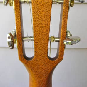 Breedlove Tenor Guitar image 7